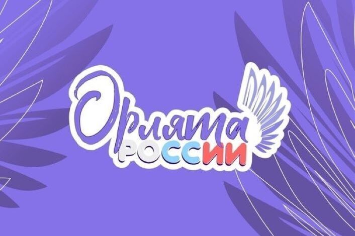 Чек лист реализации программы Орлята России.